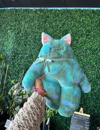 Jumbo XL kitten Bloog Justin 💙