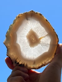 Image 8 of Blue Lace Agate Slice #2488