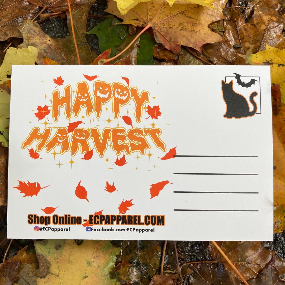 “Harvest Magic” Postcard