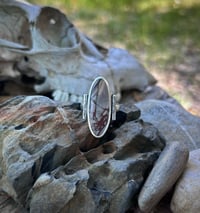 Image 1 of Picasso Jasper ring - size 9.5