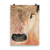 'Highland Cow' Poster Prints