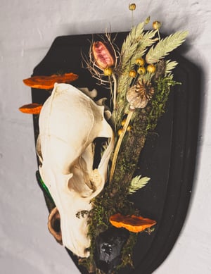 Image of Coyote Skull Hanger