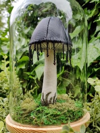 Inky Cap Plushroom Cloche Display 
