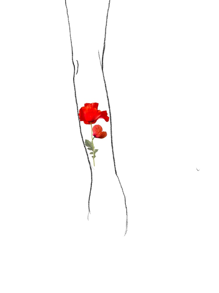 Image of Poppy Tattoo #1 