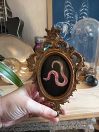 Image 4 of Ver de terre