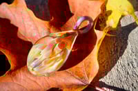 Image 1 of Mushroom Cluster~