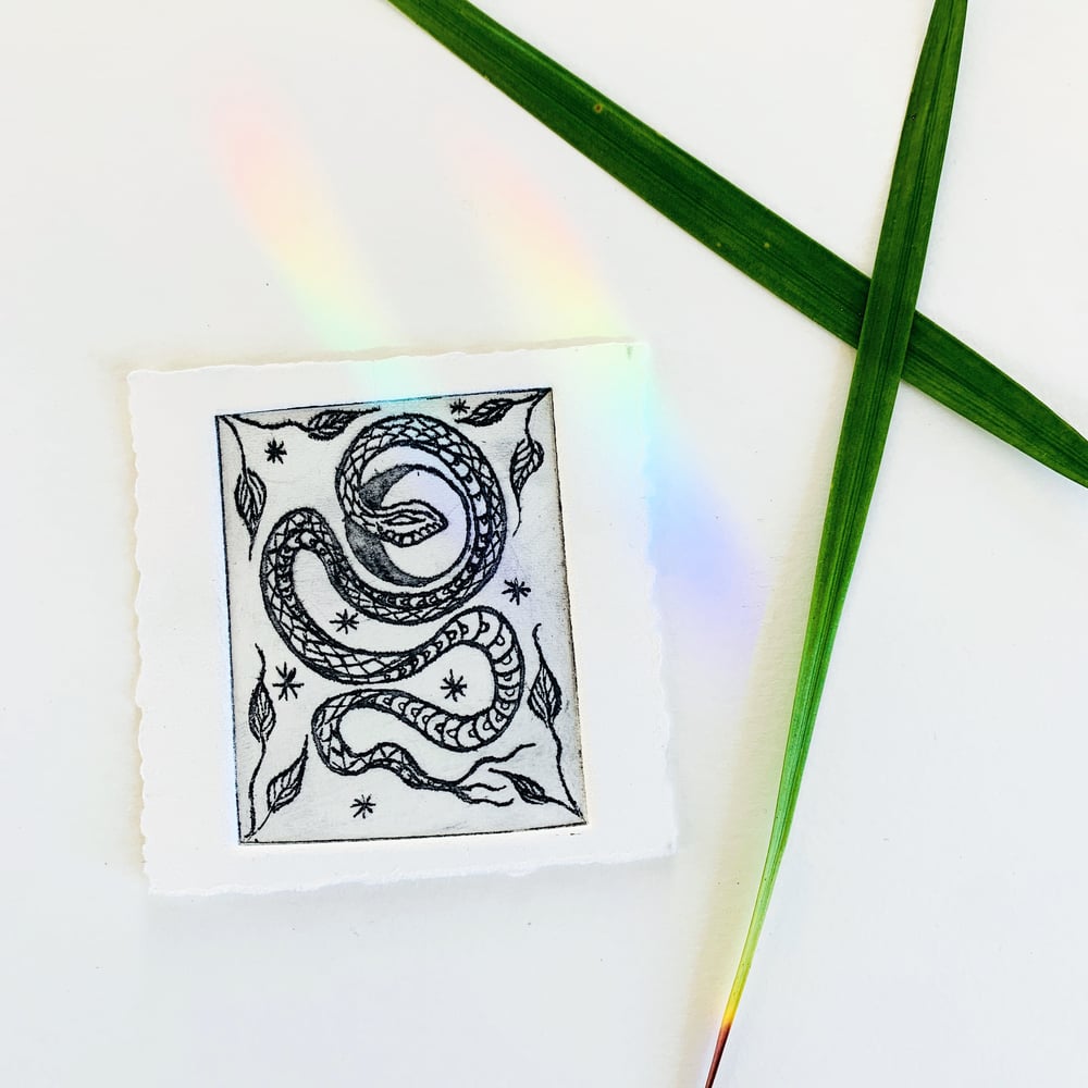 Image of Aether Snake Etching 