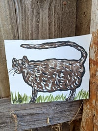 Image 4 of Cat