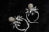 Dead Good spikey dentures earrings Image 6
