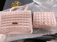 Image 2 of Blush Handbag with Mini