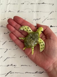Image 5 of Spun Cotton Green Sea Turtle Ornaments