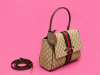 New Gugu bag