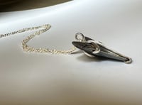Image 2 of Megalodon Pendant with Australian Opal 