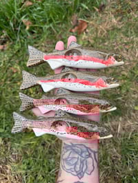 Rainbow Trout 2.0
