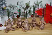 Image 1 of Pine Tree Mandrakes