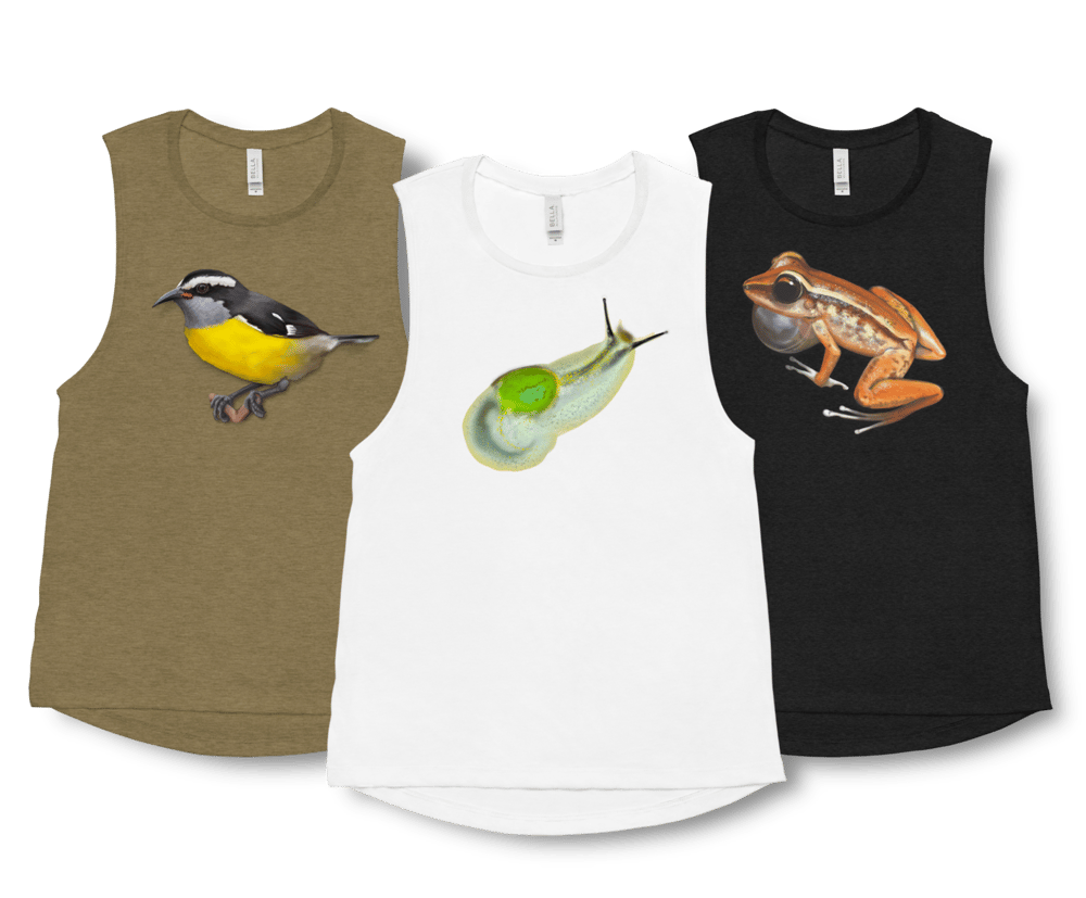 Women’s Tank Tops | Various Designs