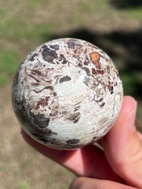 Image 6 of Money Agate Sphere #2834