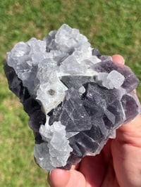 Image 10 of Purple Cubic Fluorite Specimen #1941
