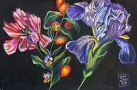 Image 1 of Spring Study - NFS