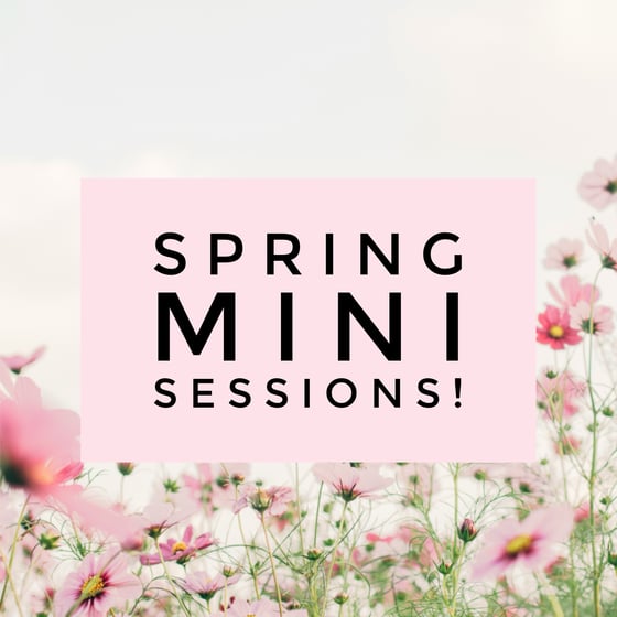 Image of Spring Mini Sessions 2024