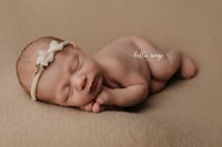 Image 3 of Stretch Tieback 194