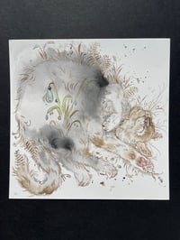 Image 4 of Dreamer - Kitty Cat Study 