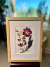 Genuine Chrysanthemum, Rose, Veronica And Hydrangea Wildflower Art In 8" X 10" Frame (Item# 2021148)