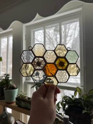 Honeycomb with Calendula and Pincushion flowers