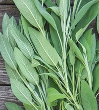 Packaged Herbs