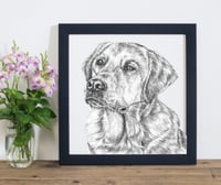 Labrador 20x20cm Print 