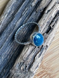 Image 5 of Neon Apatite