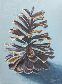 Image 1 of Long Leaf Pine Cone #3