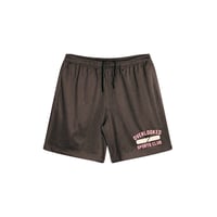 Image 1 of Sports Club Mesh Shorts