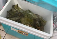 Image 2 of EVENT CATERING| PARTY PICK UP 