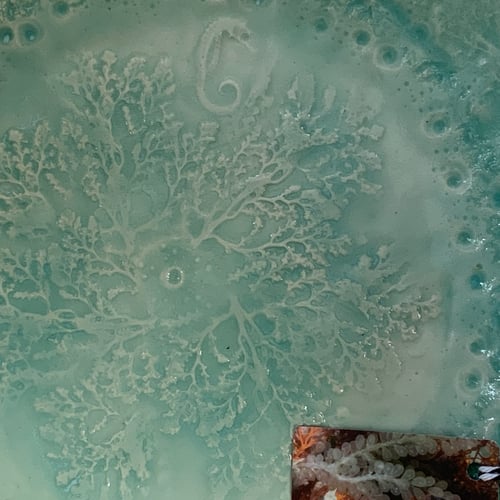 Image of Rockpool Plates (A)