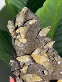 Image 3 of XXL SWEETWATER CALCITE WITH PYRITE -MISSOURI- PORCUPINE POCKET 2025 A