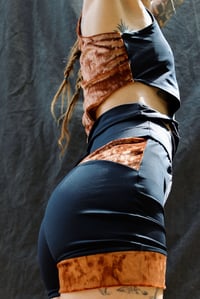 Image 3 of YARA Shorts,  rusty orange velour 