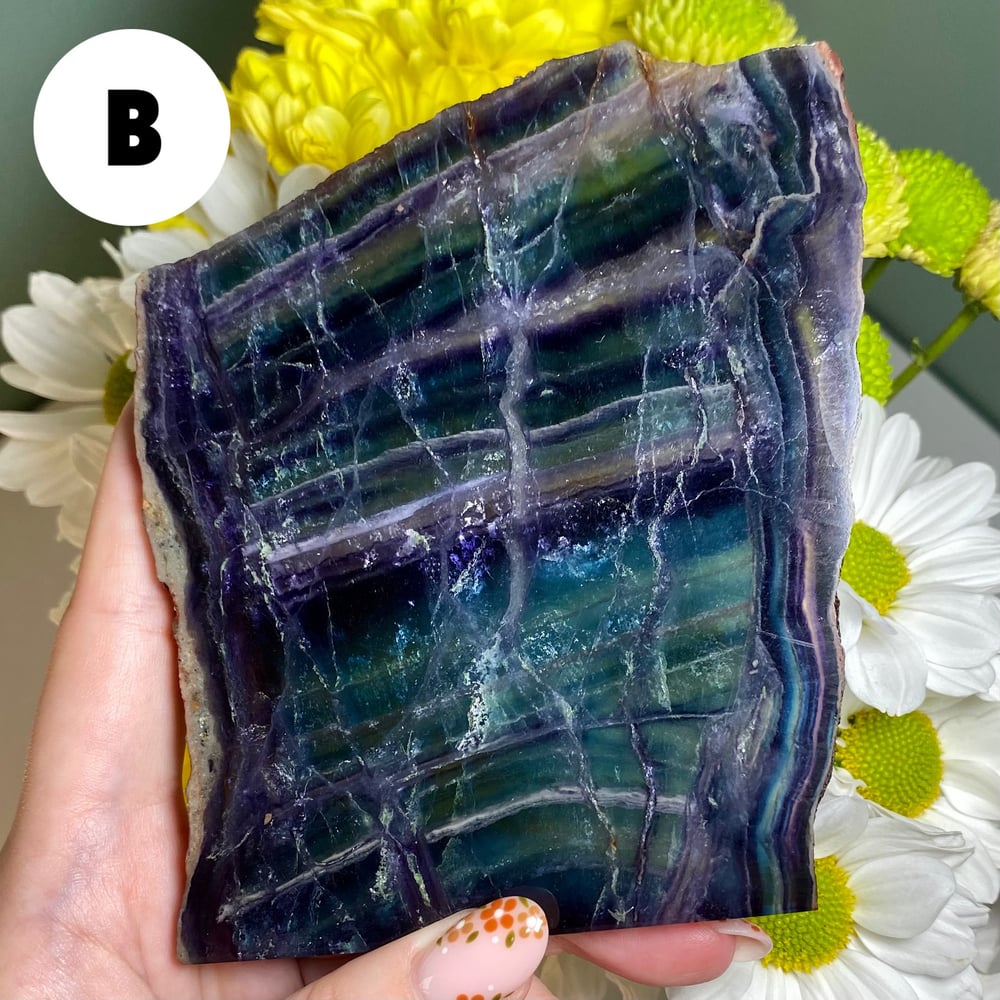 Image of Fluorite Slab