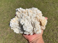 Image 11 of Calcite Crystal Cluster Reef Formation #994