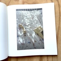 Image 2 of William Eggleston - The Democratic Forest