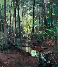 Woods in Early August