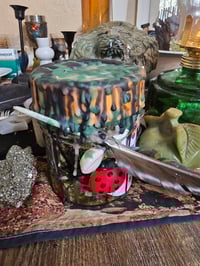 Image 2 of StRange Agave Jupiter JaR