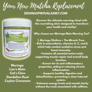 Image of Moringa Main Morning Tea  