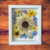 Genuine Sunflower, Delphinium And Pansy Wildflowers In 8" X 10" Shadow Box (Item# 202201LS)