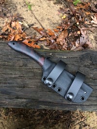 Image 5 of Cenote V2 - Sangria