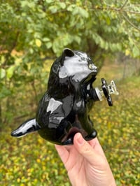 Image 3 of Medium Kittens 