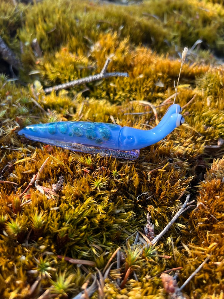 Image of Blue Sparkle Boro Slug