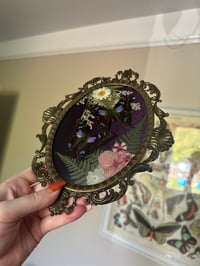 Image 4 of Purple Spotted Swallowtail Antique Frame