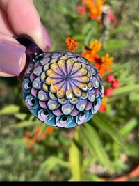 Image 1 of sweet lavender