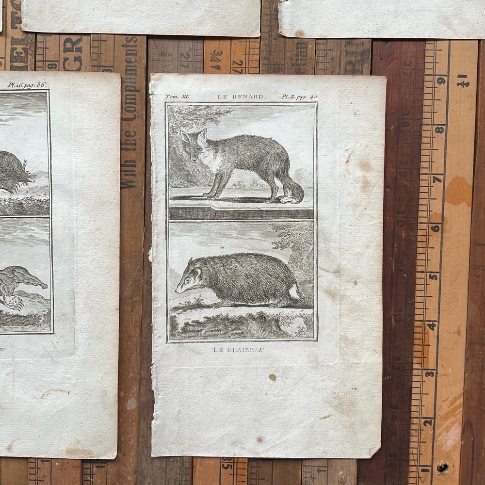 Image of French Animal Engravings set no.3